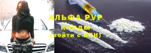 гидра Усмань