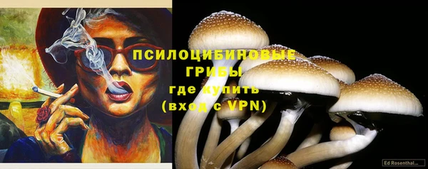 кокс Абаза