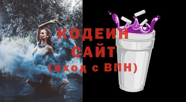 гашик Мегион