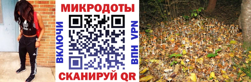 Галлюциногенные грибы Psilocybe  MEGA ССЫЛКА  Юрга  сколько стоит 